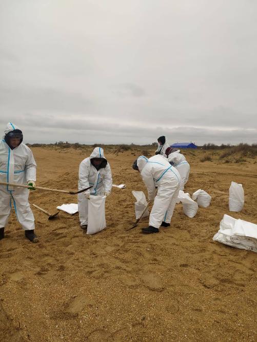 ������ �� ���������� ����������� �� � ����� ������������ 