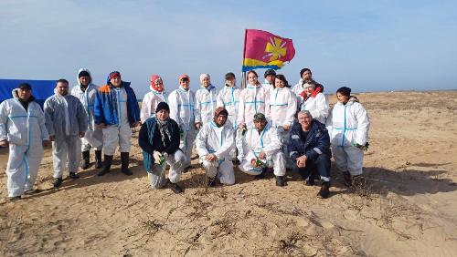 ������ �� ���������� ����������� ������������ �������� � ����� ������� �������  