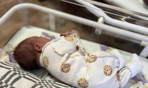 � ������� ������ � ��� 13 ������������� 