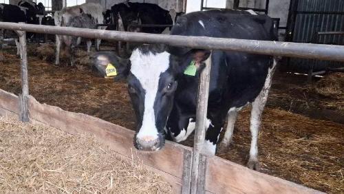 ������������������ �������� ������ ����� ��� ����� ���������� ������������ ������� ������������������� �����, �������̆ �������� ������ ������������� ������� ������������ � ������������ ���������