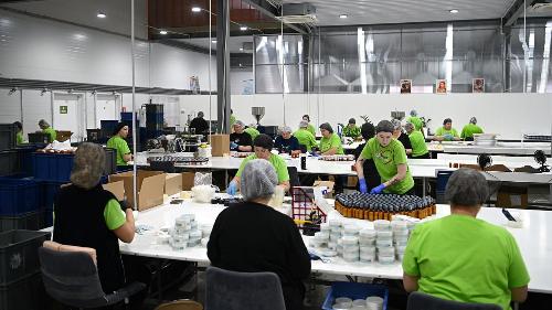 ��������� ������������� ������� �100 ������ ������� ������