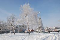 36f748ffedb5a5131566bac7ff8165b4