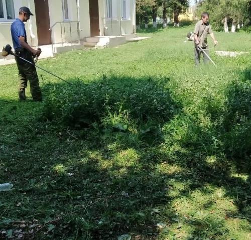 ����������� ���������� � ���������������� �������� ���������