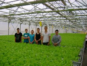 ������������������ ��������� � ��� ����������� �������� ��������