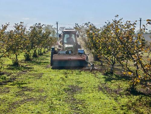 ����������� �� ���������� ������ ��������� ����� ��������� ����� � ������������ ����