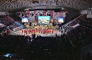 SEM_5349.jpg