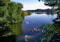 105fb3d67105edd899cdf802a21c2839