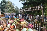 SEM_3902.jpg