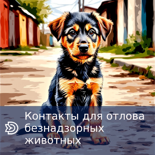  ����� ��������� ��������