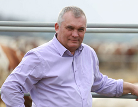 ������� ������ ������������ �������