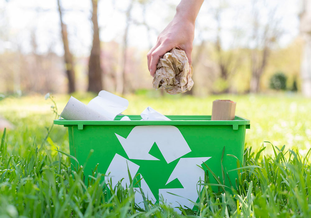 Эко1.jpg Эко1.jpg