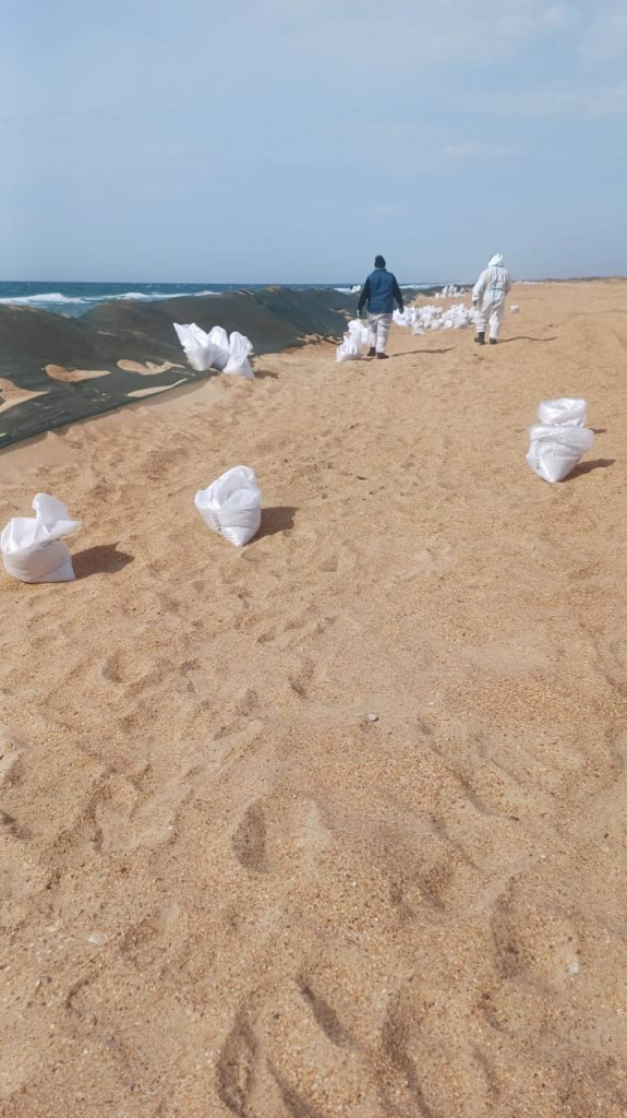 photo_2025-03-13_14-07-50 (2).jpg