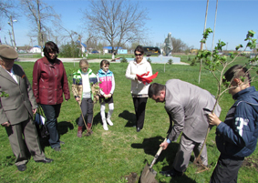 ������ � ��� ������ �����, �������� ���������