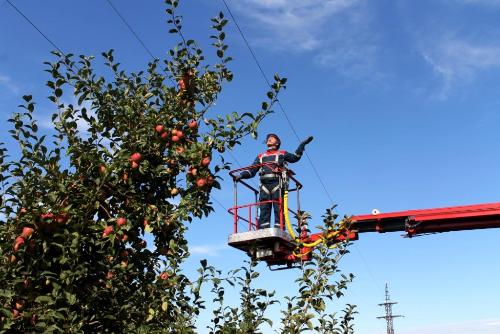 ����������� ����������� � ���� � ������������� ������������  11 ������� �������� ������� � 150 �� ��