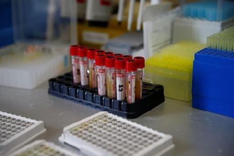 � ������������� ���� 30 ����� �������������� ������� ������������