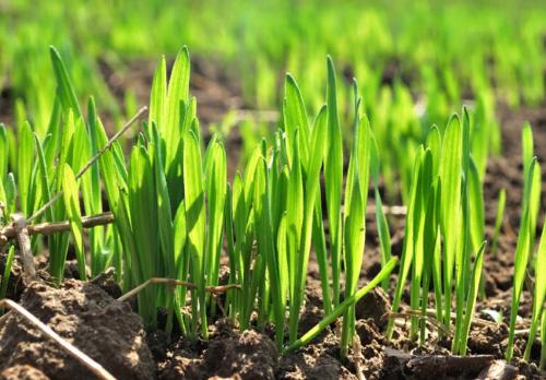 � ������� ������ ��������� ��� ������