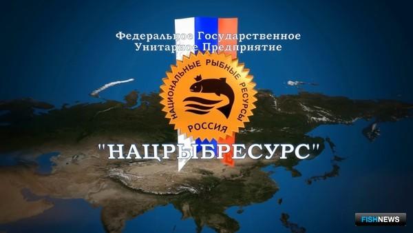 11.03.2024 ���������� ����������� ����������� �������� ������� �����.