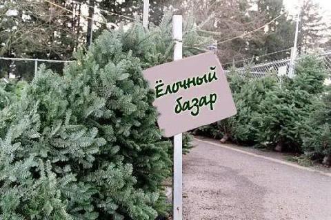 ��� � ������� ������ ������ ���������� ����?