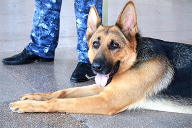 ������������ ������ �����