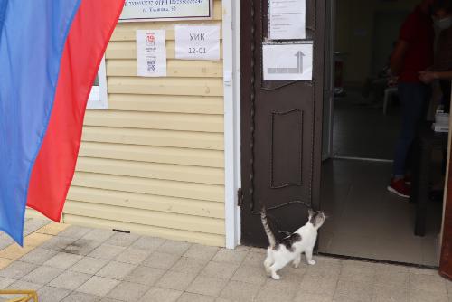 � 20:00 ����������� ����������� �� ������������� �������� �������� ������