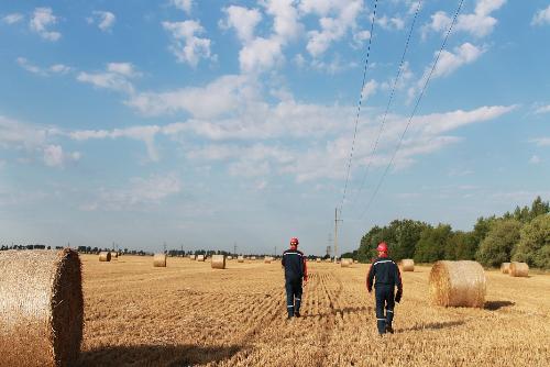 ������������� ���������� ��������� ����� 80 % ��������� ���������