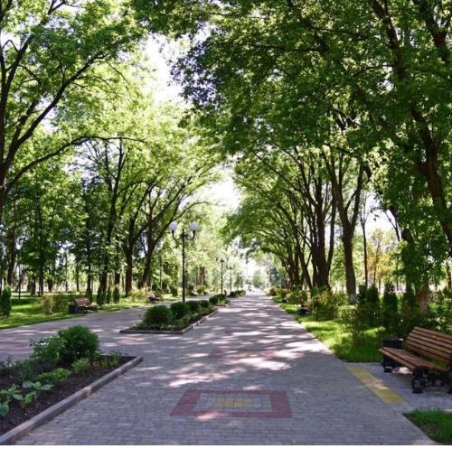 ������������� ���� ���������  ��������� ����� 