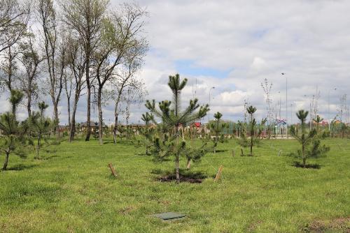 ������������� ���� ������� �� ��� ���