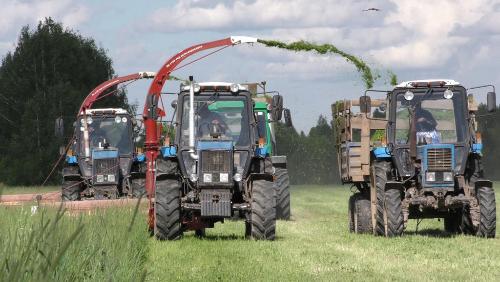 ������� �������������������� �������� 18 ��������� ������ �� �������� ������� � 2018 ����