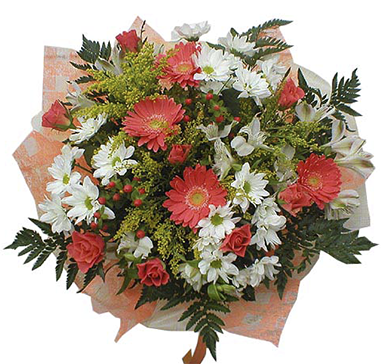 12 ������� 2014 ���� � ���� ��������� ��������� ��������� � ���������������� ��������������