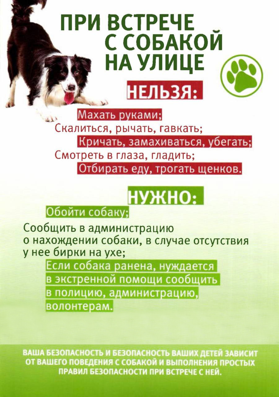 ����� ��������� ��������!