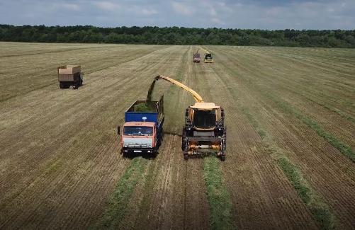 ��� ������������ ��������  ������ ��������� ������������� ����