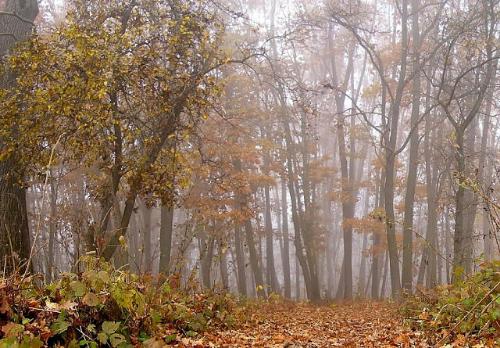 ����� ����� �� ������ �������� � �������������