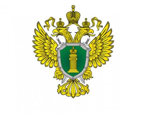 ������������� ������������ ����������� ����������