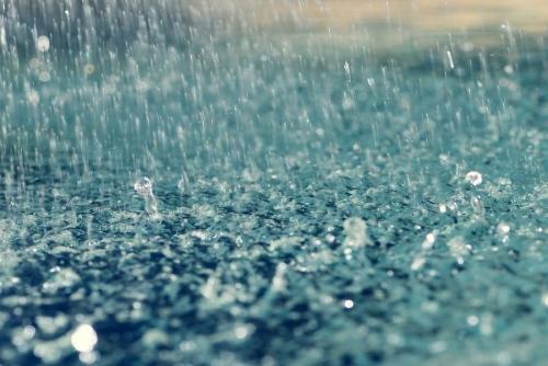 �� ������ ���������� ����������� ��������� ��������������