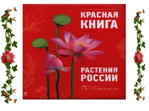 �� ��������������� �� ����������� ������ � ����������� ��� ������� ������������ ��������, ���������� � ������� �����