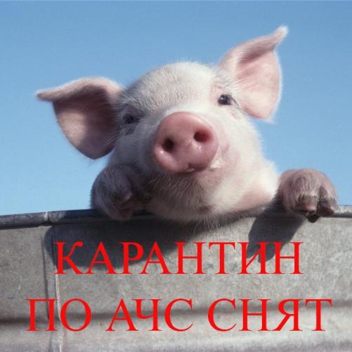 �� ���������� ��������������� ������� � ������� ������ ����  ��������