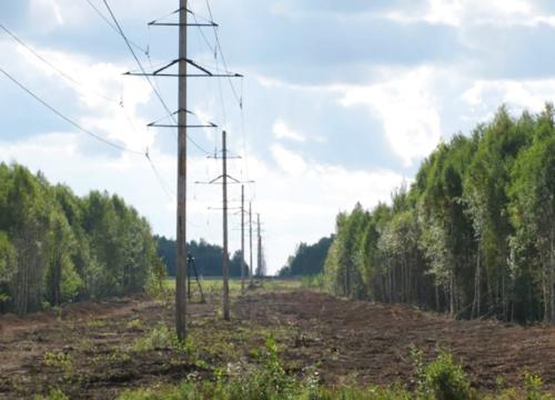 � ������������� ������������ ��������� 40 �� ������ ��� ���