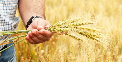 � ������������� ������ ���������� 