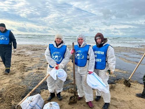 ��������� �������� ������ ���������� ����� ���������� ����� �� ������ �����