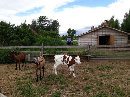 � ������ ������ ����������