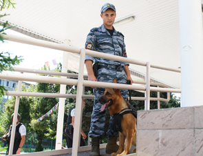 ������� ��� ������ �� �������� ������ ��������� ������