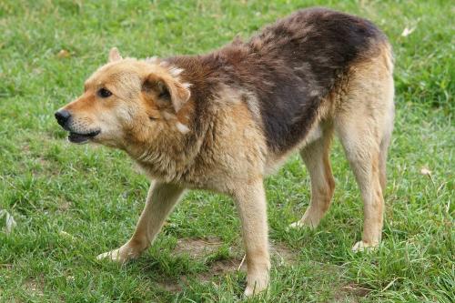 30 ����� � ���������������� �������� ��������� ����� ����������� ����� ��������� ����� 