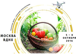 ����������� ������ �� ������� �� �������� �������� ����������