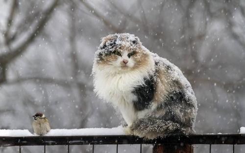  �� ������ ��������� ������ � ���� ����� � ������� �����