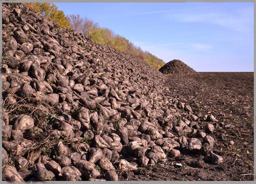 � ������� ������ ��������� ������ �������� ������