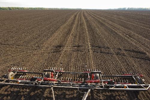 � ������ ������������ ������� �������� ��������