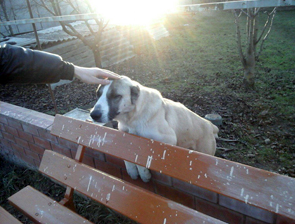 � ������� ������ ����������� ������� ����������� ������