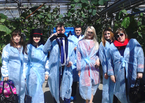 �������� ��������� � �������� ������� ���������