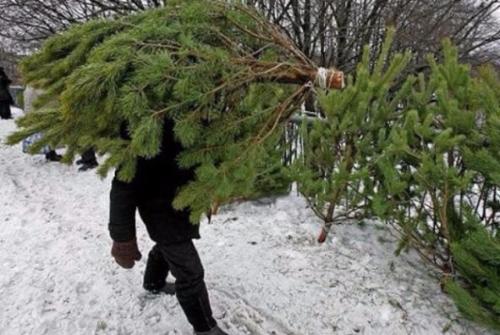 ��� ������ �� ���������� �����, ��������� � ������� ���������� ��������