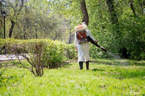 � ������������� ����� ����� ����������� ��������� ���������� �� ������